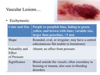 1. Integumentary system.pdf