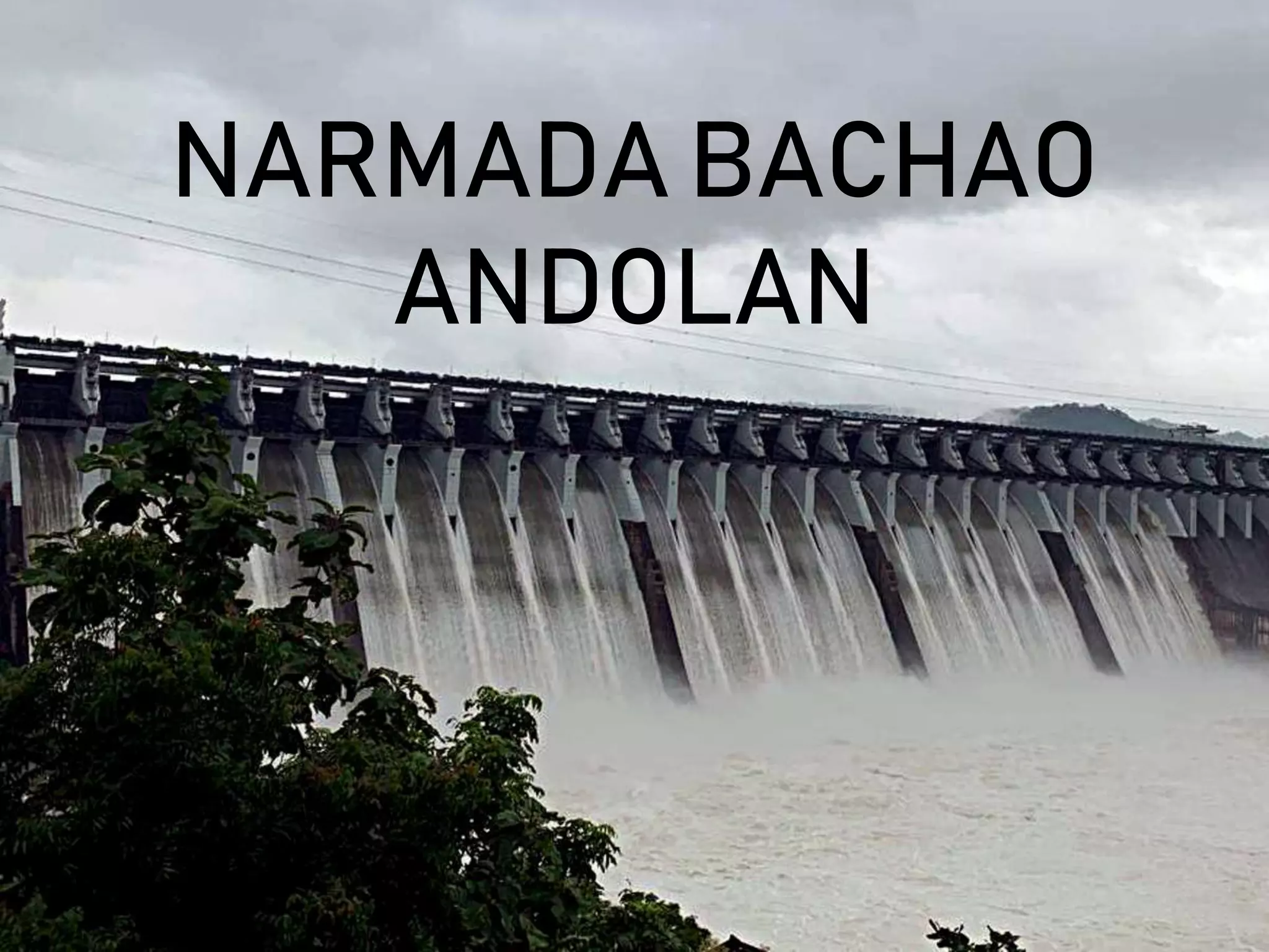 1. Narmada Bachao Andolan (1).pptx