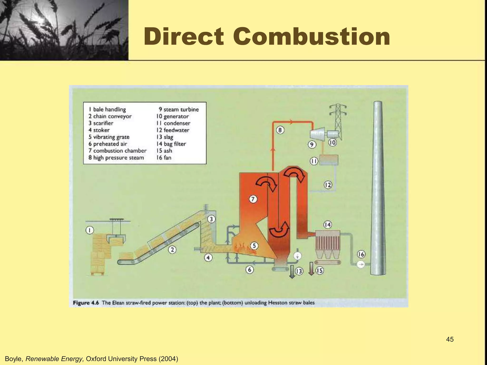1. Biomass Biofuel.ppt