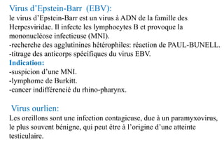 Virus d’Epstein-Barr (EBV):
le virus d’Epstein-Barr est un virus à ADN de la famille des
Herpesviridae. Il infecte les lym...