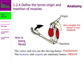 1.2_The_Muscular_System.ppt