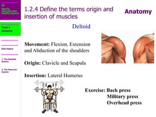1.2_The_Muscular_System.ppt