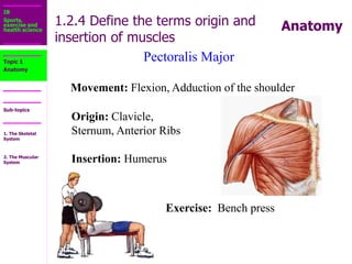 1.2_The_Muscular_System.ppt