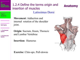 1.2_The_Muscular_System.ppt