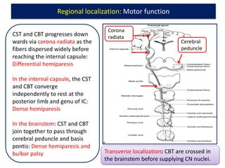 1.Diagnostic reasoning and localization of neurologic disorders 2017.pptx