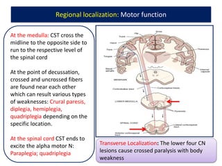 1.Diagnostic reasoning and localization of neurologic disorders 2017.pptx