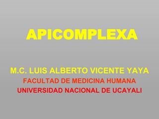 APICOMPLEXA
M.C. LUIS ALBERTO VICENTE YAYA
FACULTAD DE MEDICINA HUMANA
UNIVERSIDAD NACIONAL DE UCAYALI
 