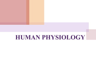 HUMAN PHYSIOLOGY
 