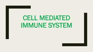 CELL MEDIATED
IMMUNE SYSTEM
 