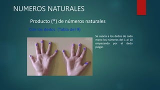 NUMEROS NATURALES
Producto (*) de números naturales
Con los dedos (Tabla del 9)
Se asocia a los dedos de cada
mano los números del 1 al 10
empezando por el dedo
pulgar.
 