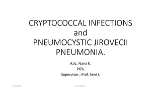 CRYPTOCOCCAL INFECTIONS
and
PNEUMOCYSTIC JIROVECII
PNEUMONIA.
Aziz, Nana K.
PGY₁
Supervisor ; Prof. Seni J.
1/21/2023 Aziz, Nana K.
 
