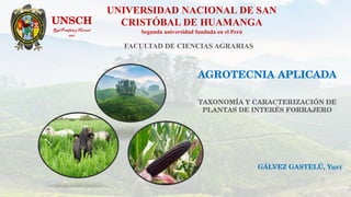 RealPontificiay Nacional
1967
UNIVERSIDAD NACIONAL DE SAN
CRISTÓBAL DE HUAMANGA
Segunda universidad fundada en el Perú
FACULTAD DE CIENCIAS AGRARIAS
 