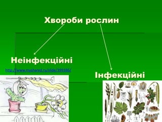 Хвороби рослин
Неінфекційні
Інфекційні
http://www.myshared.ru/slide/399386/
 