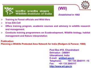 Post Box #18, Chandrabani
Dehradun - 248001
Uttarakhand, India
E-mail: wii@wii.gov.in
Telephone: +91 135 2640111 -15
Fax: +91 135 2640117
http://www.wii.gov.in
 Training to Forest officials and Wild lifers
 It has EIA Cell
 Offers training program, academic courses and advisory in wildlife research
and management.
 Conducts training programmers on Ecodevelopment, Wildlife biology, habitat
management and Nature interpretation
Established in 1982
Publication:
Planning a Wildlife Protected Area Network for India (Rodgers & Panwar, 1988)
(WII)
 