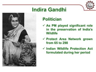 Indira Gandhi
Politician
 As PM played significant role
in the preservation of India’s
Wildlife
 Protect Area Network grown
from 65 to 298
 Indian Wildlife Protection Act
formulated during her period
 
