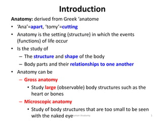 Introduction
Anatomy: derived from Greek ‘anatome
• ‘Ana’=apart, ‘tomy’=cutting
• Anatomy is the setting (structure) in which the events
(functions) of life occur
• Is the study of
– The structure and shape of the body
– Body parts and their relationships to one another
• Anatomy can be
– Gross anatomy
• Study large (observable) body structures such as the
heart or bones
– Microscopic anatomy
• Study of body structures that are too small to be seen
with the naked eye
Human Anatomy 1
 
