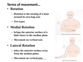 1. Human Anatomy-3.pptx
