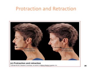 Protraction and Retraction
Human Anatomy 26
 