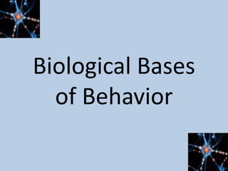 Biological Bases
of Behavior
 