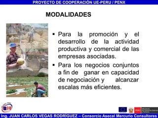 Ing. JUAN CARLOS VEGAS RODRÍGUEZ – Consorcio Asecal Mercurio Consultores
MODALIDADES
 Para la promoción y el
desarrollo de la actividad
productiva y comercial de las
empresas asociadas.
 Para los negocios conjuntos
a fin de ganar en capacidad
de negociación y alcanzar
escalas más eficientes.
PROYECTO DE COOPERACIÓN UE-PERU / PENX
 