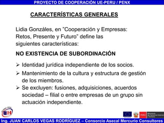 Ing. JUAN CARLOS VEGAS RODRÍGUEZ – Consorcio Asecal Mercurio Consultores
CARACTERÍSTICAS GENERALES
Lidia Gonzáles, en ”Cooperación y Empresas:
Retos, Presente y Futuro” define las
siguientes características:
NO EXISTENCIA DE SUBORDINACIÓN
 Identidad jurídica independiente de los socios.
 Mantenimiento de la cultura y estructura de gestión
de los miembros.
 Se excluyen: fusiones, adquisiciones, acuerdos
sociedad – filial o entre empresas de un grupo sin
actuación independiente.
PROYECTO DE COOPERACIÓN UE-PERU / PENX
 