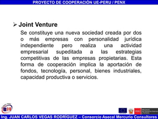 Ing. JUAN CARLOS VEGAS RODRÍGUEZ – Consorcio Asecal Mercurio Consultores
 Joint Venture
Se constituye una nueva sociedad creada por dos
o más empresas con personalidad jurídica
independiente pero realiza una actividad
empresarial supeditada a las estrategias
competitivas de las empresas propietarias. Esta
forma de cooperación implica la aportación de
fondos, tecnología, personal, bienes industriales,
capacidad productiva o servicios.
PROYECTO DE COOPERACIÓN UE-PERU / PENX
 