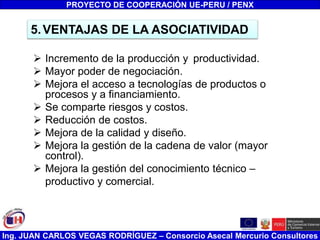 Ing. JUAN CARLOS VEGAS RODRÍGUEZ – Consorcio Asecal Mercurio Consultores
 Incremento de la producción y productividad.
 Mayor poder de negociación.
 Mejora el acceso a tecnologías de productos o
procesos y a financiamiento.
 Se comparte riesgos y costos.
 Reducción de costos.
 Mejora de la calidad y diseño.
 Mejora la gestión de la cadena de valor (mayor
control).
 Mejora la gestión del conocimiento técnico –
productivo y comercial.
5.VENTAJAS DE LA ASOCIATIVIDAD
PROYECTO DE COOPERACIÓN UE-PERU / PENX
 