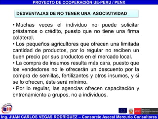 Ing. JUAN CARLOS VEGAS RODRÍGUEZ – Consorcio Asecal Mercurio Consultores
DESVENTAJAS DE NO TENER UNA ASOCIATIVIDAD
PROYECTO DE COOPERACIÓN UE-PERU / PENX
• Muchas veces el individuo no puede solicitar
préstamos o crédito, puesto que no tiene una firma
colateral.
• Los pequeños agricultores que ofrecen una limitada
cantidad de productos, por lo regular no reciben un
buen precio por sus productos en el mercado local.
• La compra de insumos resulta más cara, puesto que
los vendedores no le ofrecerán un descuento por la
compra de semillas, fertilizantes y otros insumos, y si
se lo ofrecen, éste será mínimo.
• Por lo regular, las agencias ofrecen capacitación y
entrenamiento a grupos, no a individuos.
 