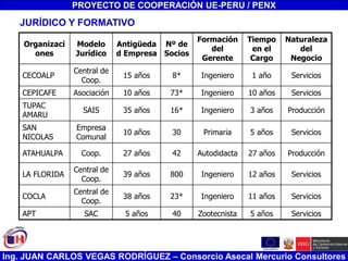 Ing. JUAN CARLOS VEGAS RODRÍGUEZ – Consorcio Asecal Mercurio Consultores
PROYECTO DE COOPERACIÓN UE-PERU / PENX
Organizaci
ones
Modelo
Jurídico
Antigüeda
d Empresa
Nº de
Socios
Formación
del
Gerente
Tiempo
en el
Cargo
Naturaleza
del
Negocio
CECOALP
Central de
Coop.
15 años 8* Ingeniero 1 año Servicios
CEPICAFE Asociación 10 años 73* Ingeniero 10 años Servicios
TUPAC
AMARU
SAIS 35 años 16* Ingeniero 3 años Producción
SAN
NICOLAS
Empresa
Comunal
10 años 30 Primaria 5 años Servicios
ATAHUALPA Coop. 27 años 42 Autodidacta 27 años Producción
LA FLORIDA
Central de
Coop.
39 años 800 Ingeniero 12 años Servicios
COCLA
Central de
Coop.
38 años 23* Ingeniero 11 años Servicios
APT SAC 5 años 40 Zootecnista 5 años Servicios
JURÍDICO Y FORMATIVO
 