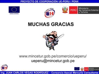 Ing. JUAN CARLOS VEGAS RODRÍGUEZ – Consorcio Asecal Mercurio Consultores
PROYECTO DE COOPERACIÓN UE-PERU / PENX
MUCHAS GRACIAS
www.mincetur.gob.pe/comercio/ueperu/
ueperu@mincetur.gob.pe
 