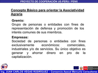 Ing. JUAN CARLOS VEGAS RODRÍGUEZ – Consorcio Asecal Mercurio Consultores
PROYECTO DE COOPERACIÓN UE-PERU / PENX
Concepto Básico para orientar la Asociatividad
Agraria
Gremio:
Grupo de personas o entidades con fines de
representación de defensa y promoción de los
interés comunes de sus miembros.
Empresas:
Sociedad de personas o entidades con fines
exclusivamente económicos: comerciales,
industriales y/o de servicios. Su único objetivo es
generar y ahorrar dinero en pro de la
capitalización.
 