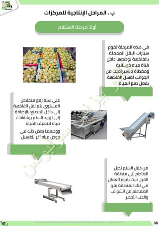 ‫االستالم‬ ‫مرحلة‬ : ‫ًال‬‫أو‬
38
‫للمركزات‬ ‫اإلنتاجية‬ ‫المراحل‬ . ‫ب‬
‫تقوم‬ ‫المرحلة‬ ‫هذه‬ ‫في‬
‫المحملة‬ ‫النقل‬ ‫سيارات‬
‫داخل‬ ‫بوضعها‬ ‫بالفاكهة‬
‫خرسانية‬ ‫مياه‬ ‫قناة‬
‫من‬ ‫بالسيراميك‬ ‫ومغطاة‬
‫الفاكهة‬ ‫لغسل‬ ‫الجوانب‬
‫المباه‬ ‫دفع‬ ‫بفعل‬
‫منخفض‬ ‫رفع‬ ‫سلم‬ ‫على‬
‫الفاكهة‬ ‫نقل‬ ‫يتم‬ ‫المستوى‬
‫باإلضافة‬ ‫المصنع‬ ‫داخل‬ ‫إلى‬
‫برشاشات‬ ‫السلم‬ ‫تزويد‬ ‫إلى‬
‫المياه‬ ‫لتنضيف‬ ‫مياه‬
‫في‬ ‫ذلك‬ ‫بعض‬ ‫ووضعها‬
‫للغسيل‬ ‫آخر‬ ‫مياه‬ ‫حوض‬
‫تصل‬ ‫السلم‬ ‫خالل‬ ‫من‬
‫منطقة‬ ‫إلى‬ ‫الطاطم‬
‫العمال‬ ‫يقوم‬ ‫حيث‬ ،‫الفرز‬
‫بفرز‬ ‫المنطقة‬ ‫تلك‬ ‫في‬
‫الشوائب‬ ‫من‬ ‫الطماطم‬
‫األخضر‬ ‫والحب‬
 