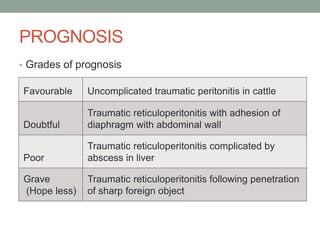 PROGNOSIS
• Grades of prognosis
Favourable Uncomplicated traumatic peritonitis in cattle
Doubtful
Traumatic reticuloperito...