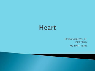 Dr Maria Idrees: PT
DPT (TUF)
MS NMPT (RIU)
 