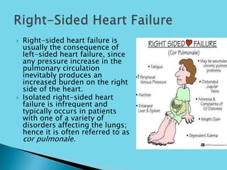  Right-sided heart failure is
usually the consequence of
left-sided heart failure, since
any pressure increase in the
pulmonary circulation
inevitably produces an
increased burden on the right
side of the heart.
 Isolated right-sided heart
failure is infrequent and
typically occurs in patients
with one of a variety of
disorders affecting the lungs;
hence it is often referred to as
cor pulmonale.
 