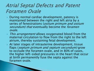  During normal cardiac development, patency is
maintained between the right and left atria by a
series of fenestrations (ostium primum and ostium
secundum) that eventually become the foramen
ovale.
 This arrangement allows oxygenated blood from the
maternal circulation to flow from the right to the left
atrium, thereby sustaining fetal development.
 At later stages of intrauterine development, tissue
flaps (septum primum and septum secundum) grow
to occlude the foramen ovale, and in 80% of cases,
the higher left-sided pressures in the heart that occur
at birth permanently fuse the septa against the
foramen ovale.
 
