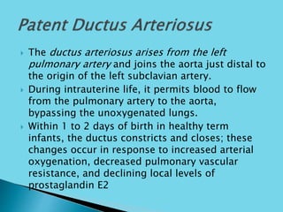  The ductus arteriosus arises from the left
pulmonary artery and joins the aorta just distal to
the origin of the left subclavian artery.
 During intrauterine life, it permits blood to flow
from the pulmonary artery to the aorta,
bypassing the unoxygenated lungs.
 Within 1 to 2 days of birth in healthy term
infants, the ductus constricts and closes; these
changes occur in response to increased arterial
oxygenation, decreased pulmonary vascular
resistance, and declining local levels of
prostaglandin E2
 