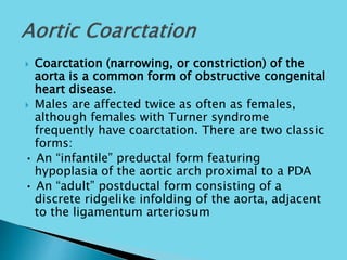  Coarctation (narrowing, or constriction) of the
aorta is a common form of obstructive congenital
heart disease.
 Males are affected twice as often as females,
although females with Turner syndrome
frequently have coarctation. There are two classic
forms:
• An “infantile” preductal form featuring
hypoplasia of the aortic arch proximal to a PDA
• An “adult” postductal form consisting of a
discrete ridgelike infolding of the aorta, adjacent
to the ligamentum arteriosum
 