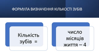 ФОРМУЛА ВИЗНАЧЕННЯ КІЛЬКОСТІ ЗУБІВ
Кількість
зубів =
число
місяців
життя – 4
 