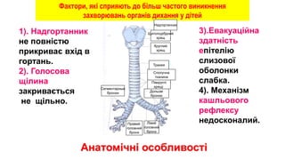 Фактори, які сприяють до більш частого виникнення
захворювань органів дихання у дітей
Надгортанник
Щитоподібдний
хрящ
Круглий
хрящ
Трахея
Сполучна
тканина
Дольові
бронхи
Півкруглі
хрящі
Сегментарные
бронхи
Правий
головний
бронх
Лівий
головний
бронх
1). Надгортанник
не повністю
прикриває вхід в
гортань.
2). Голосова
щілина
закривається
не щільно.
3).Евакуаційна
здатність
епітелію
слизової
оболонки
слабка.
4). Механізм
кашльового
рефлексу
недосконалий.
Анатомічні особливості
 