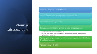 Функції
мікрофлори:
захисна; імунна; метаболічна;
сприяє остаточному перетравленню рештків їжі;
синтез вітамінів і ферментів;
Склад залежить від віку дитини та виду вигодовування:
•у новонародженого кишки стерильні;
•на 1-шу добу життя вони заселяються кишковою паличкою, ентерококом,
дріжджовою флорою;
При природному вигодовуванні в кишках переважають В. bifidus,
В. Metis aerogenes;
При штучному – В. colli;
 
