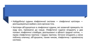 • Найдрібніші судини лімфатичної системи — лімфатичні капіляри —
розташовуються майже у всіх органах тіла.
• Капіляри об'єднуються в лімфатичні судини, які зазвичай прямують по
ходу вен, прямуючи до серця. Лімфатичні судини впадають у два
головні лімфатичні стовбури, розташовані в області грудної клітки, —
права лімфатична протока і грудна протока. Останні впадають у вени
поблизу ключиці, об'єднуючи, таким чином, лімфатичну і кровоносну
системи.
 