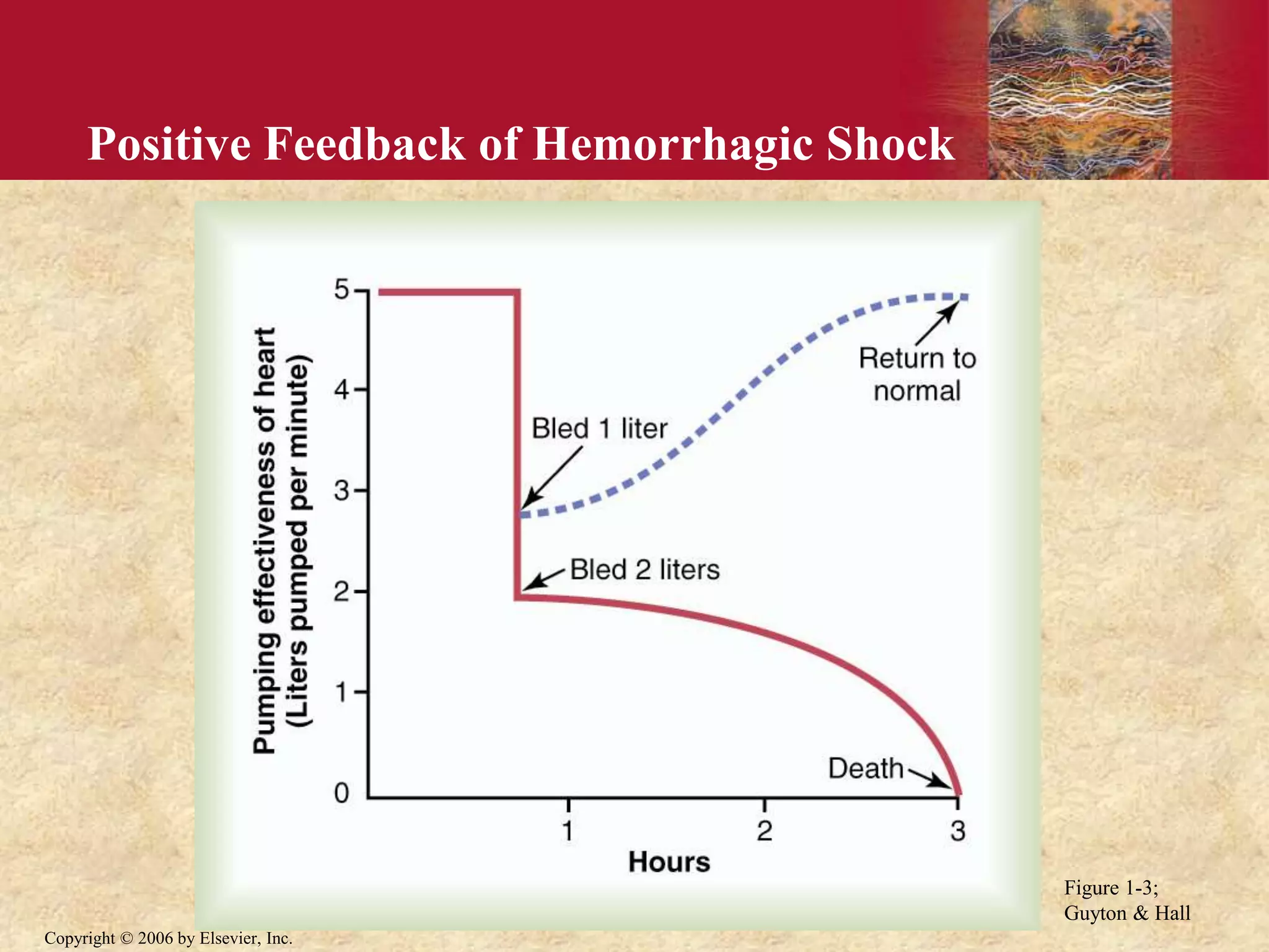 Copyright © 2006 by Elsevier, Inc.
Positive Feedback of Hemorrhagic Shock
Figure 1-3;
Guyton & Hall
 