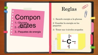 1.- Glucosa
2.- Enzimas
3.- Paquetes de energía
Compon
entes
1.- Sacarle energía a la glucosa
2- Guardar la energía en los
paquetes
3.- Tener sus 4 niveles ocupados
Reglas
 