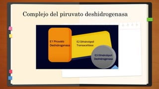 Complejo del piruvato deshidrogenasa
 