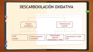 DESCARBOXILACIÓN OXIDATIVA
Grupos
prostéticos
Cofactores de
sustrato
Coenzima A = CoA-
SH
Nicotinadina
adenina
dinucleotido = NAD
Flavina adenina
nucleotido
TPP
lipoato
 
