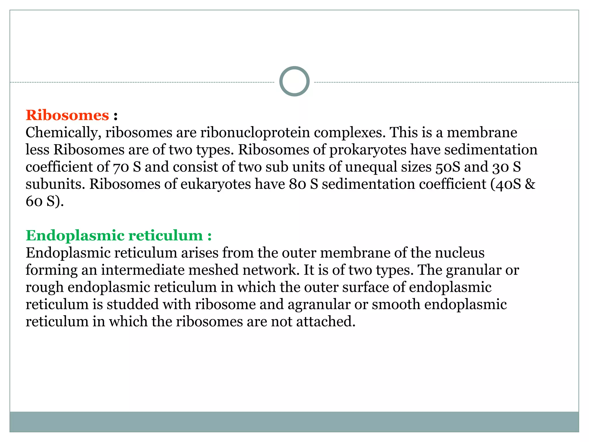 Ribosomes :
Chemically, ribosomes are ribonucloprotein complexes. This is a membrane
less Ribosomes are of two types. Ribosomes of prokaryotes have sedimentation
coefficient of 70 S and consist of two sub units of unequal sizes 50S and 30 S
subunits. Ribosomes of eukaryotes have 80 S sedimentation coefficient (40S &
60 S).
Endoplasmic reticulum :
Endoplasmic reticulum arises from the outer membrane of the nucleus
forming an intermediate meshed network. It is of two types. The granular or
rough endoplasmic reticulum in which the outer surface of endoplasmic
reticulum is studded with ribosome and agranular or smooth endoplasmic
reticulum in which the ribosomes are not attached.
 
