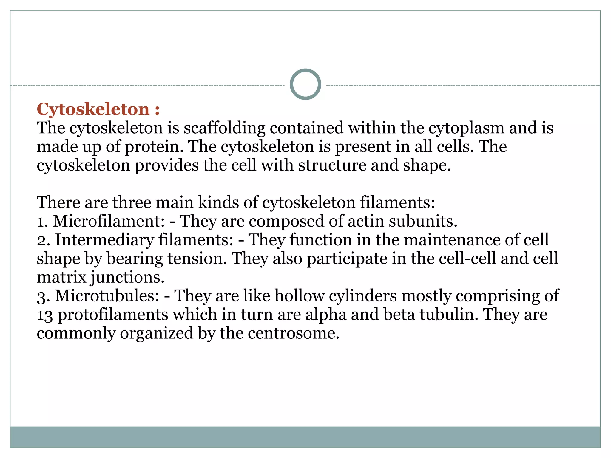 Cytoskeleton :
The cytoskeleton is scaffolding contained within the cytoplasm and is
made up of protein. The cytoskeleton is present in all cells. The
cytoskeleton provides the cell with structure and shape.
There are three main kinds of cytoskeleton filaments:
1. Microfilament: - They are composed of actin subunits.
2. Intermediary filaments: - They function in the maintenance of cell
shape by bearing tension. They also participate in the cell-cell and cell
matrix junctions.
3. Microtubules: - They are like hollow cylinders mostly comprising of
13 protofilaments which in turn are alpha and beta tubulin. They are
commonly organized by the centrosome.
 