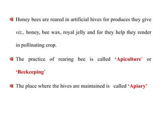 Honey bees are reared in artificial hives for produces they give
viz., honey, bee wax, royal jelly and for they help they render
in pollinating crop.
The practice of rearing bee is called ‘Apiculture’ or
‘Beekeeping’
The place where the hives are maintained is called ‘Apiary’
 