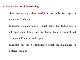  Present Status of Beekeeping
– Apis cerena and Apis mellifera are only two species
maintained in hives.
– European, A.mellifera bee is much better than Indian bee in
all aspects and it has wide distribution both in Tropical and
Temperate Countries and regions.
– European bee has 5 strains/races which are maintained in
different regions
 
